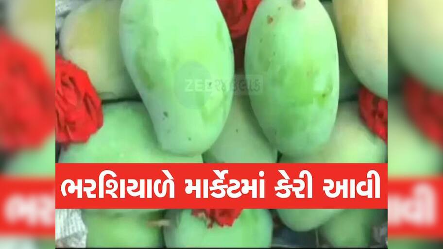 ભરશિયાળે લોકોમાં કૂતુહલ! જૂનાગઢના બજારમાં કેસર કેરીનું આગમન, જાણો એક કિલોનો શું છે ભાવ?