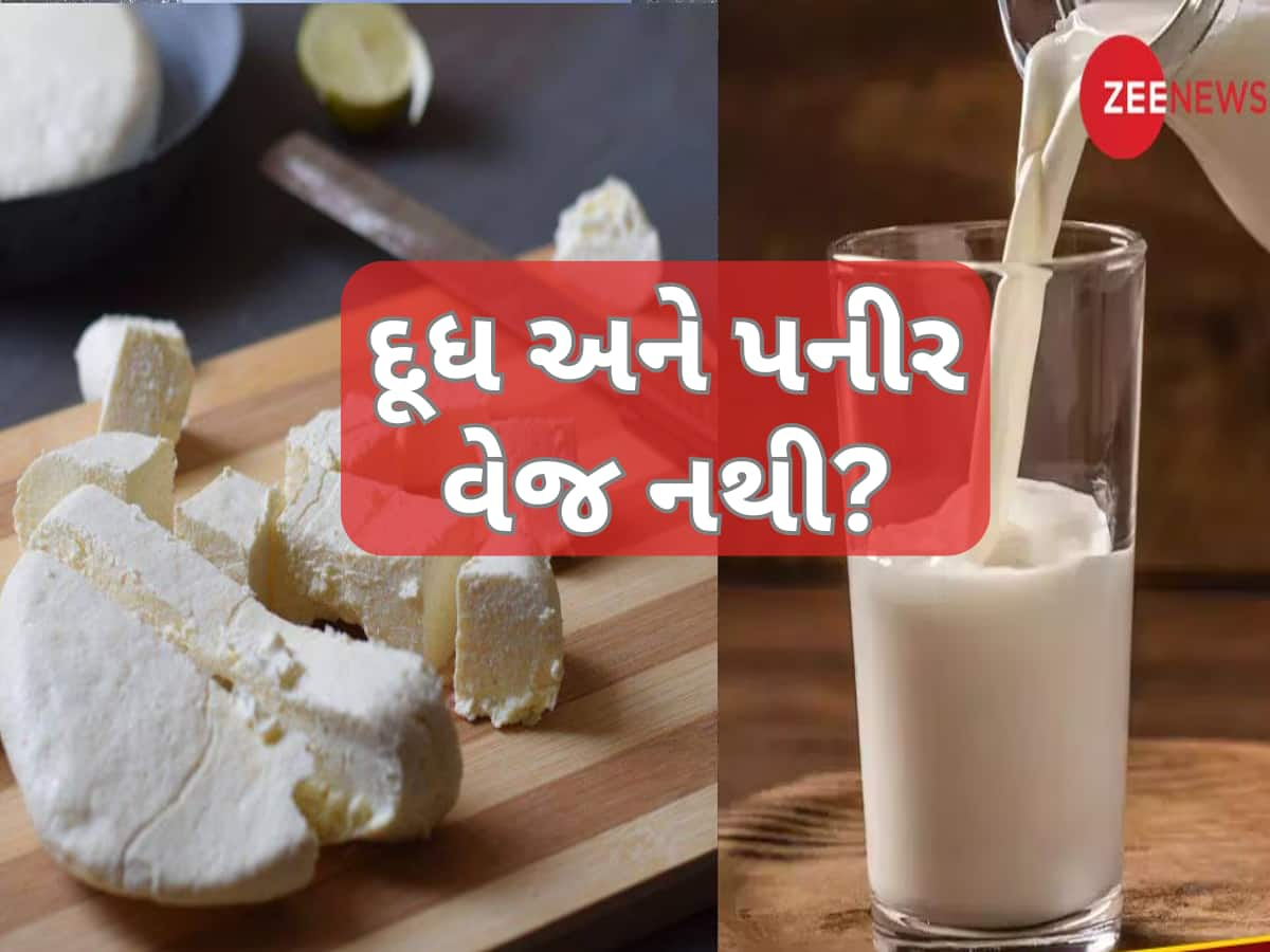 શું પનીર અને દૂધ વેજિટેરિયન નથી?  ભારતીય ડોક્ટરના નિવેદનથી ઊભો થયો વિવાદ