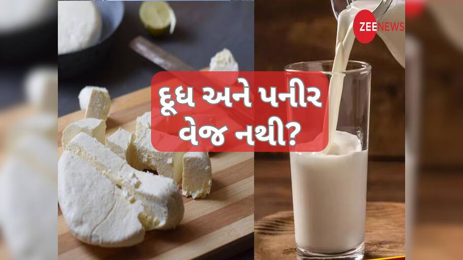 શું પનીર અને દૂધ વેજિટેરિયન નથી?  ભારતીય ડોક્ટરના નિવેદનથી ઊભો થયો વિવાદ