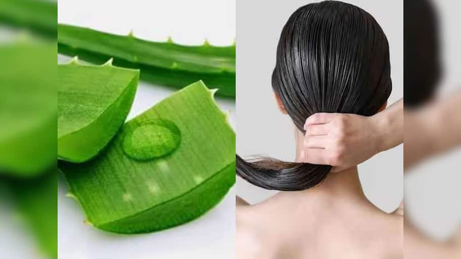 Aloe Vera For Hair: એલોવેરા સાથે આ વસ્તુઓ મિક્સ કરી લગાડો વાળમાં, વાળ થઈ જશે કાળા અને ઝડપથી થશે લાંબા