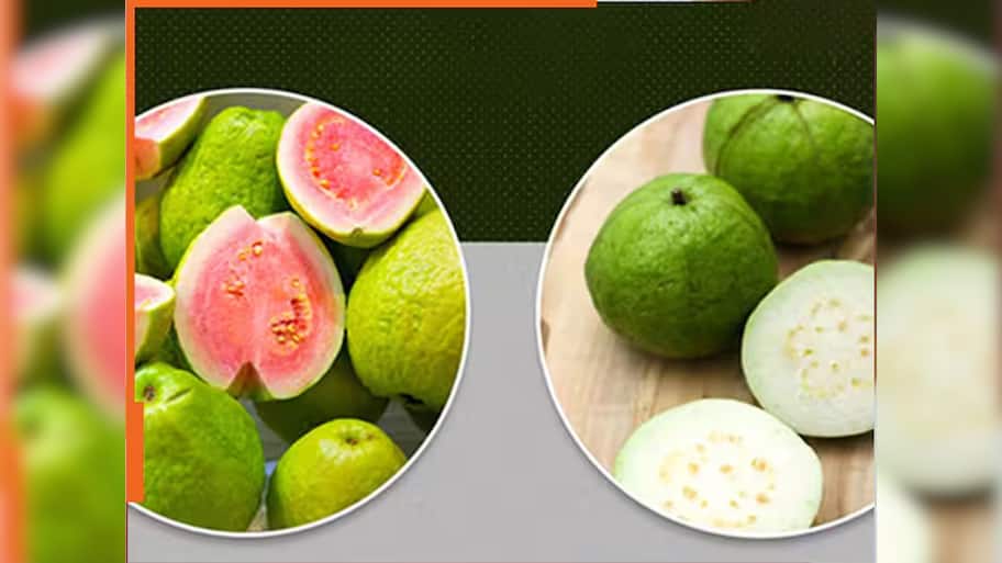 જામફળ અંદરથી લાલ છે કે સફેદ? આ ટ્રીકથી તમે જાતે જ જાણી શકશો
