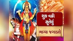 હોળી પહેલા શુક્રની ચાલ થશે વક્રી, 3 રાશિઓના ઘરે થશે રૂપિયાના ઢગલા અને મળશે પ્રતિષ્ઠા