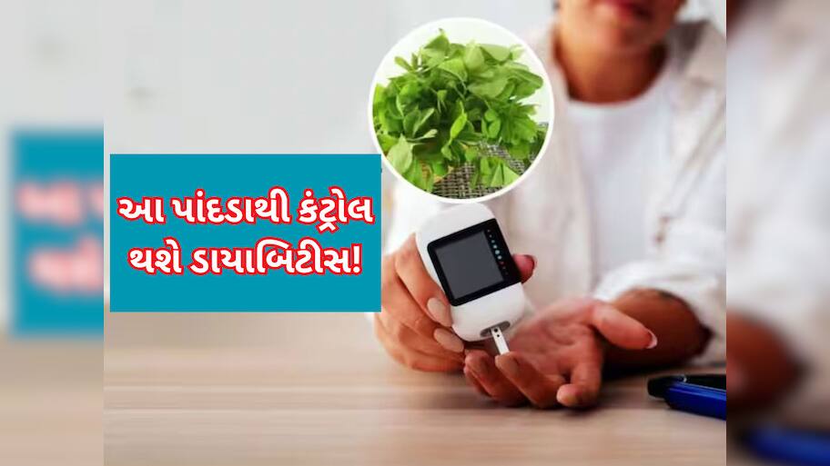 200 પાર થઈ ગયું છે બ્લડ શુગર? ફટાફટ આ 5 પાંદડા તોડીને જ્યૂસ બનાવીને પીઓ, ધડામ થશે શુગર લેવલ!