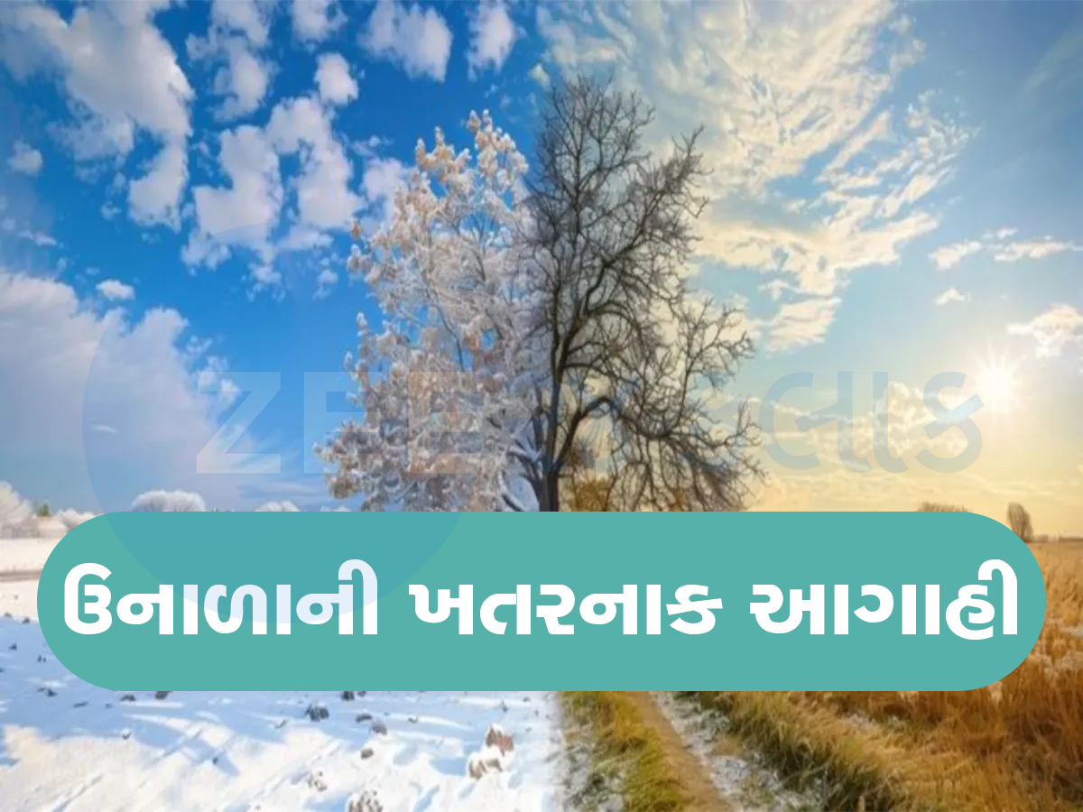 વચ્ચેથી ગાયબ થઈ જશે એક આખી ઋતુ, સીધો ઉનાળો આવશે, હવામાન વિભાગની ખતરનાક આગાહી વચ્ચેથી ગાયબ થઈ જશે એક આખી ઋતુ, સીધો ઉનાળો આવશે, હવામાન વિભાગની ખતરનાક આગાહી