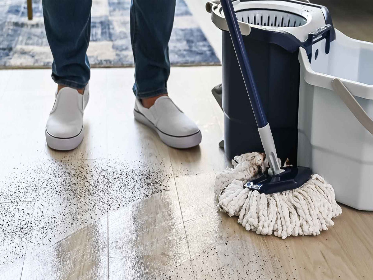 Cleaning Tips: પોતું કરવાના પાણીમાં આ વસ્તુ ઉમેરી દો, સવારે પોતું કર્યા પછી સાંજ સુધી ઘરમાં સુગંધ રહેશે, કીડી પણ નહીં નીકળે ઘરમાં Cleaning Tips: પોતું કરવાના પાણીમાં આ વસ્તુ ઉમેરી દો, સવારે પોતું કર્યા પછી સાંજ સુધી ઘરમાં સુગંધ રહેશે, કીડી પણ નહીં નીકળે ઘરમાં