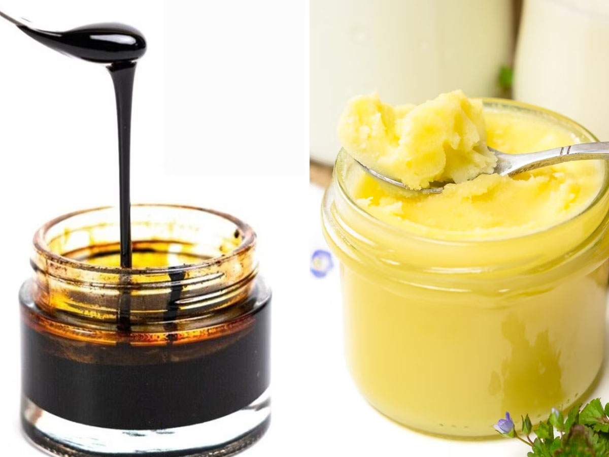 Shilajit And Ghee: શિલાજીત અને ઘીનો આ નુસખો શરીરની શક્તિ કરી દેશે બમણી, આખો દિવસ કામ કર્યા પછી પણ નહીં લાગે થાક Shilajit And Ghee: શિલાજીત અને ઘીનો આ નુસખો શરીરની શક્તિ કરી દેશે બમણી, આખો દિવસ કામ કર્યા પછી પણ નહીં લાગે થાક
