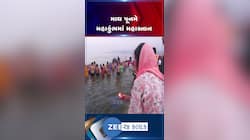 મહાકુંભમાં માઘ પૂર્ણિમાના દિવસે સાધુ-સંતો અને શ્રદ્ધાળુઓએ લગાવી પુણ્યની ડૂબકી, CM યોગી સ્થિતિ પર સતત નજર.... 
