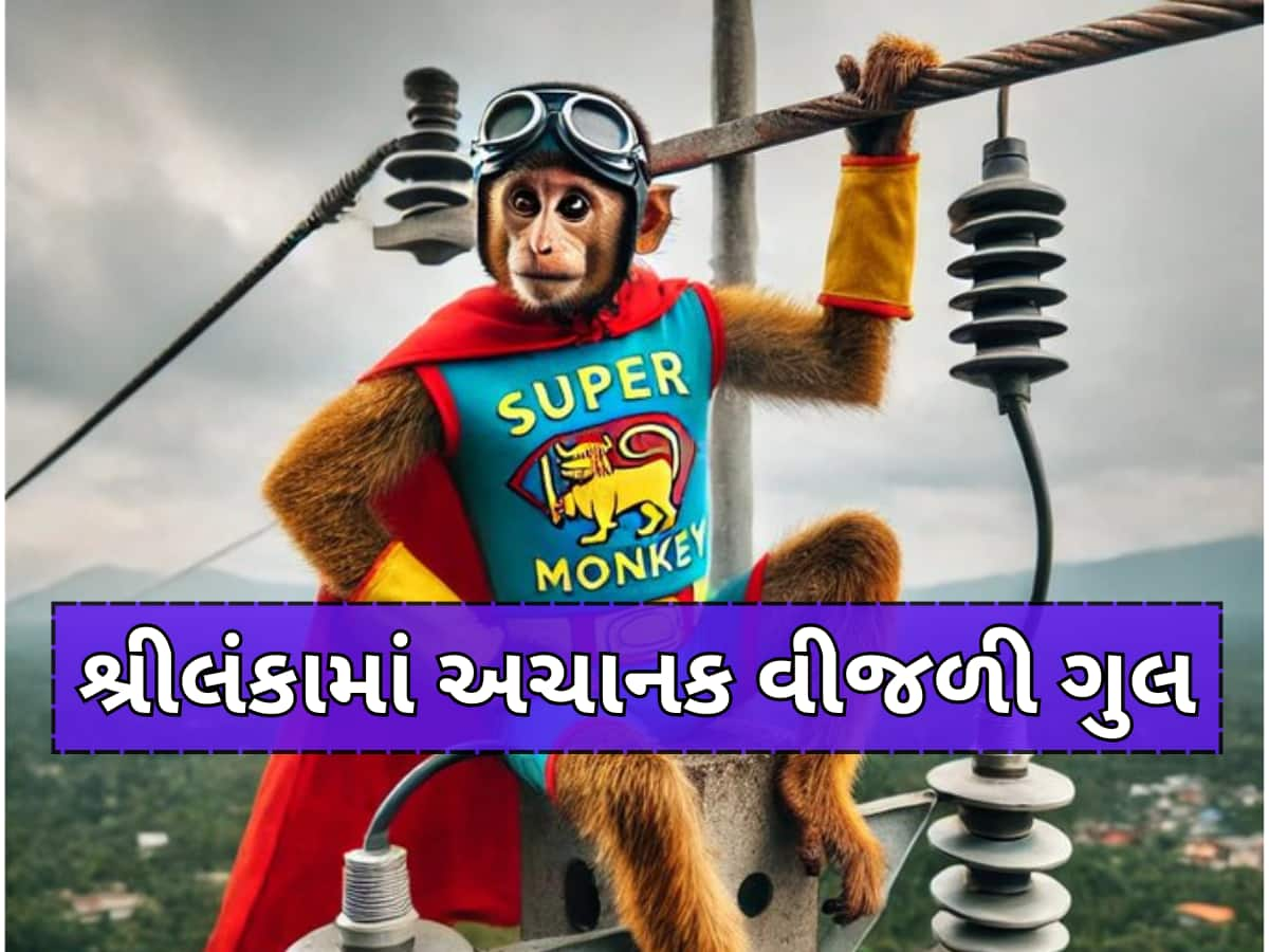 વાંદરાએ કરી દીધો મોટો 'કાંડ', હનુમાનની જેમ શ્રીલંકાની લગાવી દીધી લંકા; અંધકારમાં ડૂબ્યો દેશ