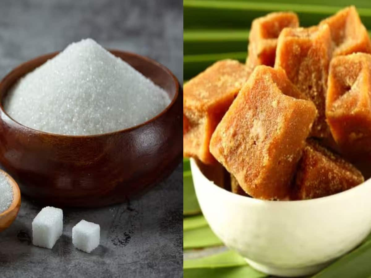 Sugar vs Jaggery: ખાંડ કે ગોળ ? ડાયાબિટીસમાં ગળ્યુ ખાવાની ઈચ્છા થાય તો શું ખાવું સારું ?