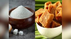 Sugar vs Jaggery: ખાંડ કે ગોળ? ડાયાબિટીસમાં ગળ્યુ ખાવાની ઈચ્છા થાય તો શું ખાવું ?