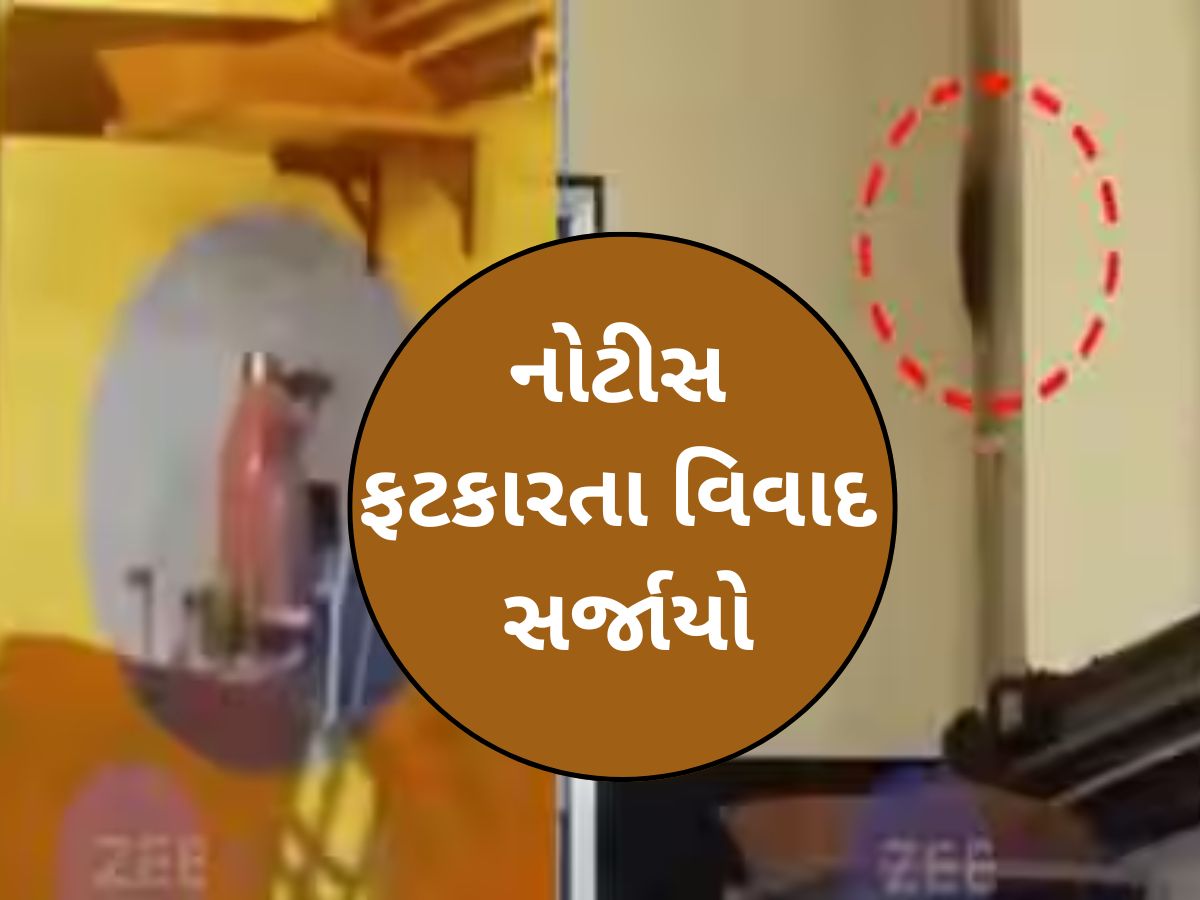 લ્યો બોલો! દર્દીઓને ઉંદર બચકા ભરે અને તેને પકડવા તે અત્યાચાર? જીવદયા પ્રેમીએ ફટકારી નોટિસ લ્યો બોલો! દર્દીઓને ઉંદર બચકા ભરે અને તેને પકડવા તે અત્યાચાર? જીવદયા પ્રેમીએ ફટકારી નોટિસ