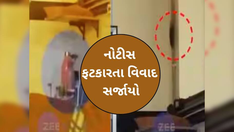 લ્યો બોલો! દર્દીઓને ઉંદર બચકા ભરે અને તેને પકડવા તે અત્યાચાર? જીવદયા પ્રેમીએ ફટકારી નોટિસ