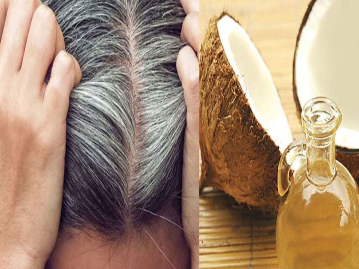Coconut Oil: નાળિયેર તેલમાં આ પાવડર મિક્સ કરી લગાડો વાળમાં, હેર કલર વિના સફેદ વાળ કાળા થઈ જાશે Coconut Oil: નાળિયેર તેલમાં આ પાવડર મિક્સ કરી લગાડો વાળમાં, હેર કલર વિના સફેદ વાળ કાળા થઈ જાશે