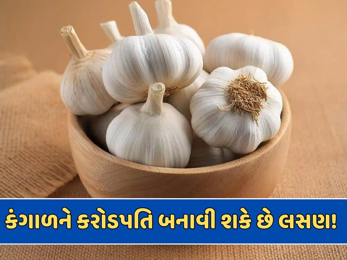 લસણના આ ઉપાયથી તમે બની શકો છો કરોડપતિ, ઉપાય અપનાવીને જુઓ