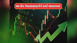 5 વર્ષમાં રોકાણકારોને બનાવ્યા કરોડપતિ, 3 વર્ષમાં આ શેરે આપ્યું 3700 ટકા રિટર્ન