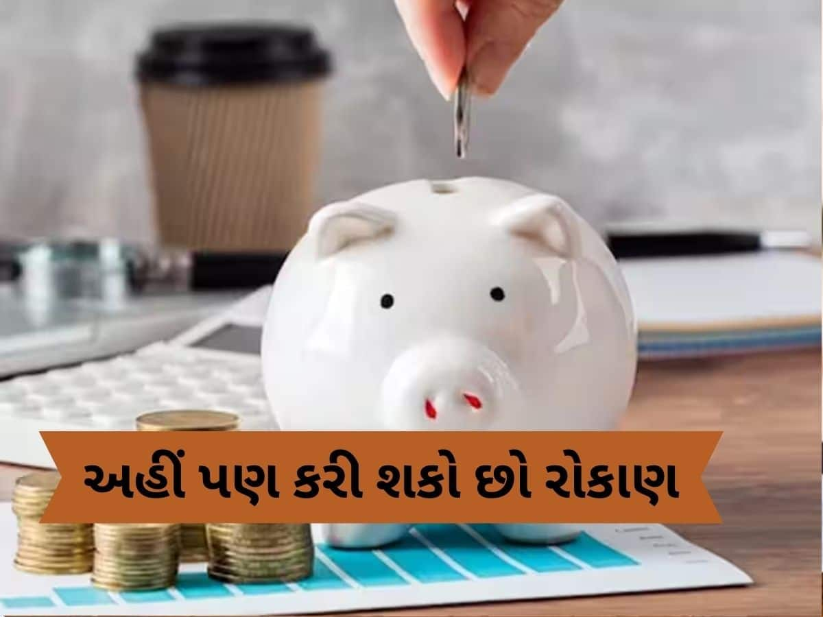 શેર બજારમાં નથી કરવું રોકાણ તો આ જગ્યાએ લગાવો તમારા પૈસા, થશે ફાયદો જ ફાયદો