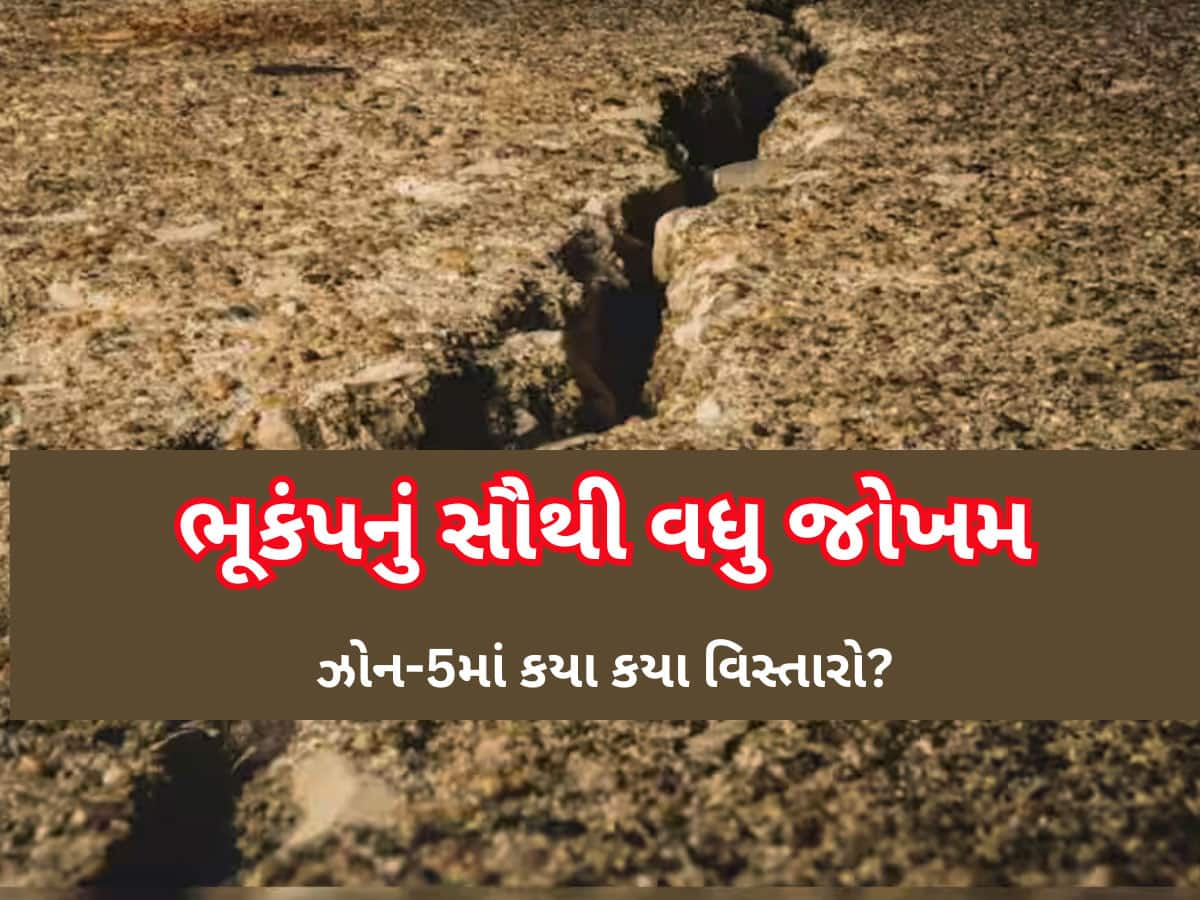 બનાસકાંઠા બાદ હવે દિલ્હી-NCRમાં ધરા ધ્રુજી, ભારતમાં ક્યાં છે ભૂકંપનું સૌથી વધુ જોખમ? ગુજરાતનો આ વિસ્તાર ડેન્જર ઝોનમાં