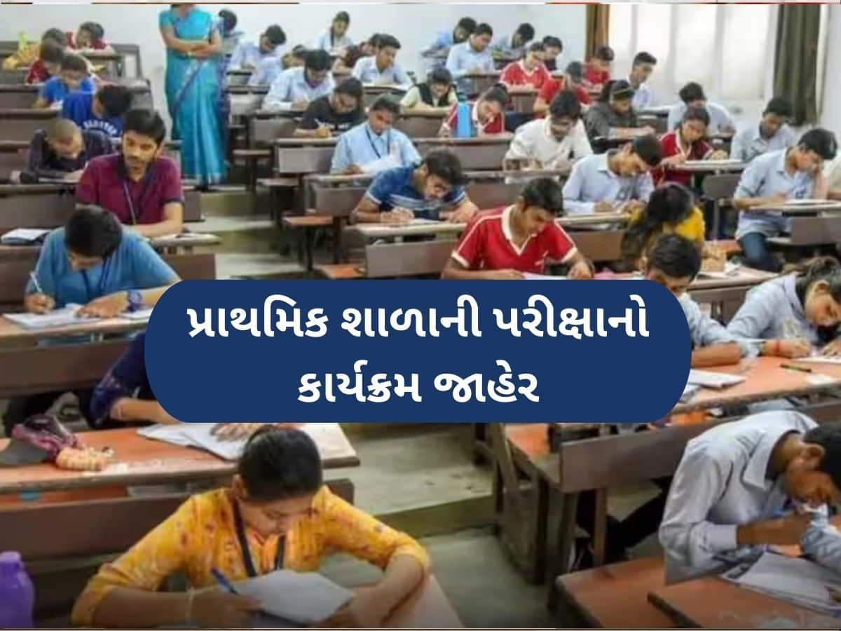 ધોરણ 3થી 8 સુધીના વિદ્યાર્થીઓની પરીક્ષાનો કાર્યક્રમ થયો જાહેર, 7 એપ્રિલથી શરૂ થશે એક્ઝામ