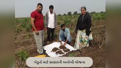 ગુજરાતના 2.15 કરોડ ખેડૂતોને મળ્યા સોઇલ હેલ્થ કાર્ડ, જાણો કઈ રીતે મદદ કરે છે આ યોજના