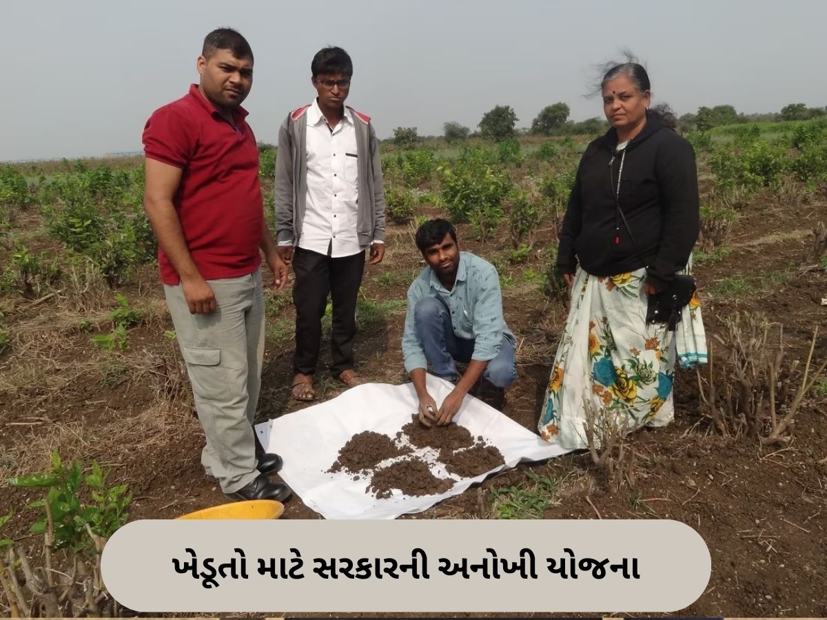ગુજરાતના 2.15 કરોડ ખેડૂતોને મળ્યા સોઇલ હેલ્થ કાર્ડ, જાણો કઈ રીતે કિસાનોને મદદરૂપ થાય છે આ યોજના
