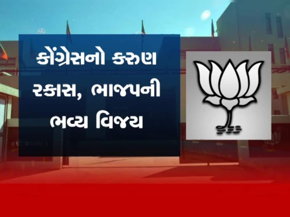  નાના નગરોમાં ભાજપનું ફરી આવ્યું શાસન, BJPની આંધીમાં ઉડ્યા કોંગ્રેસ અને AAP, જાણો કોને કયાં મળી જીત