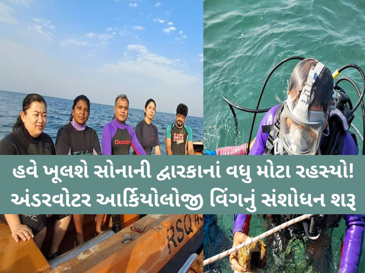 દેવભૂમિ દ્વારકાના દરિયામાંથી મળેલી એ વસ્તું...જેણે ખોલ્યાં અનેક મોટા રહસ્યો, હવે આ વિંગનું સંશોધન શરૂ