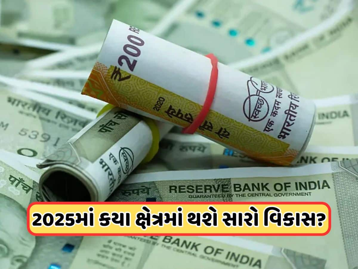 ભારતમાં વર્ષ 2025માં સેલેરી કેટલી વધશે? જાણો ડેટા એનાલિસિસમાંથી શું મળ્યા સંકેત !