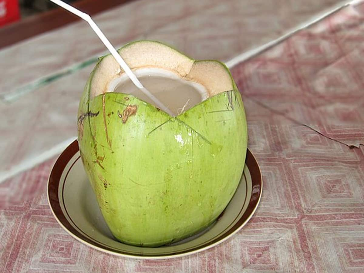 Coconut Water: આ 4 બીમારી હોય તો દર્દીને ન આપવું નાળિયેર પાણી, તબિયત સારી થવાને બદલે વધારે બગડી જશે