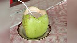 Coconut Water: આ 4 બીમારીમાં દર્દીને ન આપવું નાળિયેર પાણી, તબિયત વધારે બગડશે