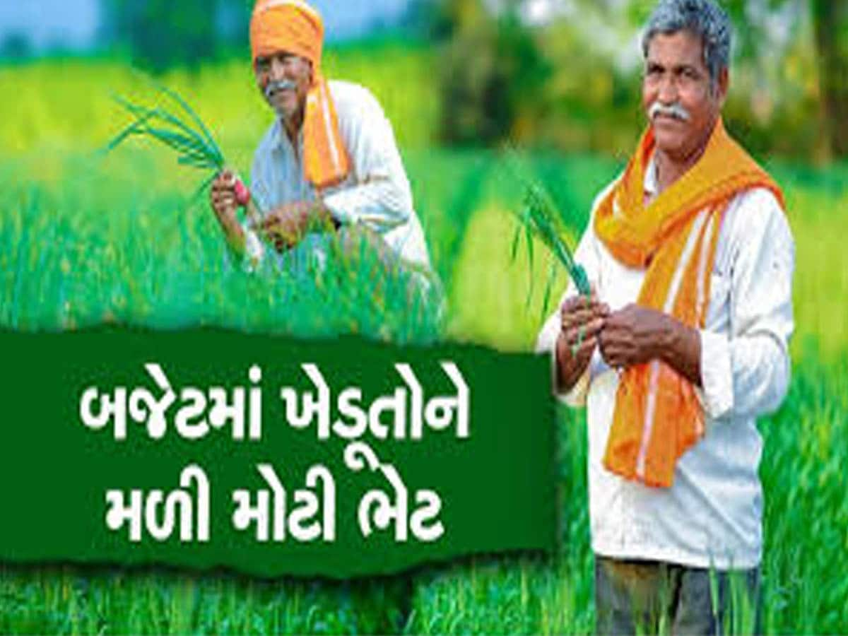 Gujarat Budget: ગુજરાતના ખેડૂતો માટે બજેટમાં અનેક મોટી જાહેરાતો, 22498 કરોડની જોગવાઈમાં શું મળશે?