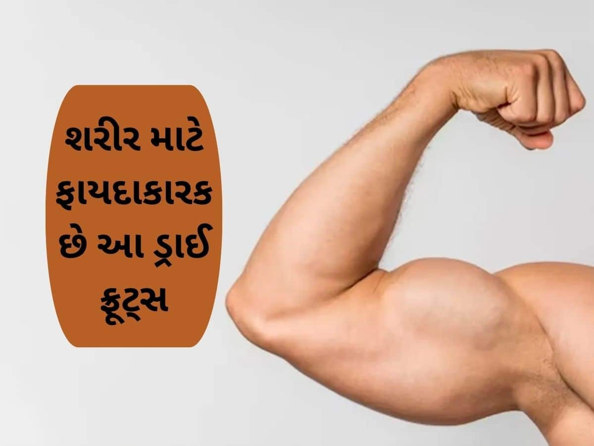  શરીરને ફોલાદી બનાવી શકે છે આ ડ્રાઈ ફ્રૂટ, ડાયાબિટીસના દર્દીઓ માટે પણ ફાયદાકારક