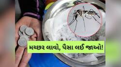 જીવતો કે મરેલો...5 મચ્છર લાવો અને આટલા પૈસા લઈ જાઓ, જાણો ક્યાં ચાલે છે આ મુહિમ