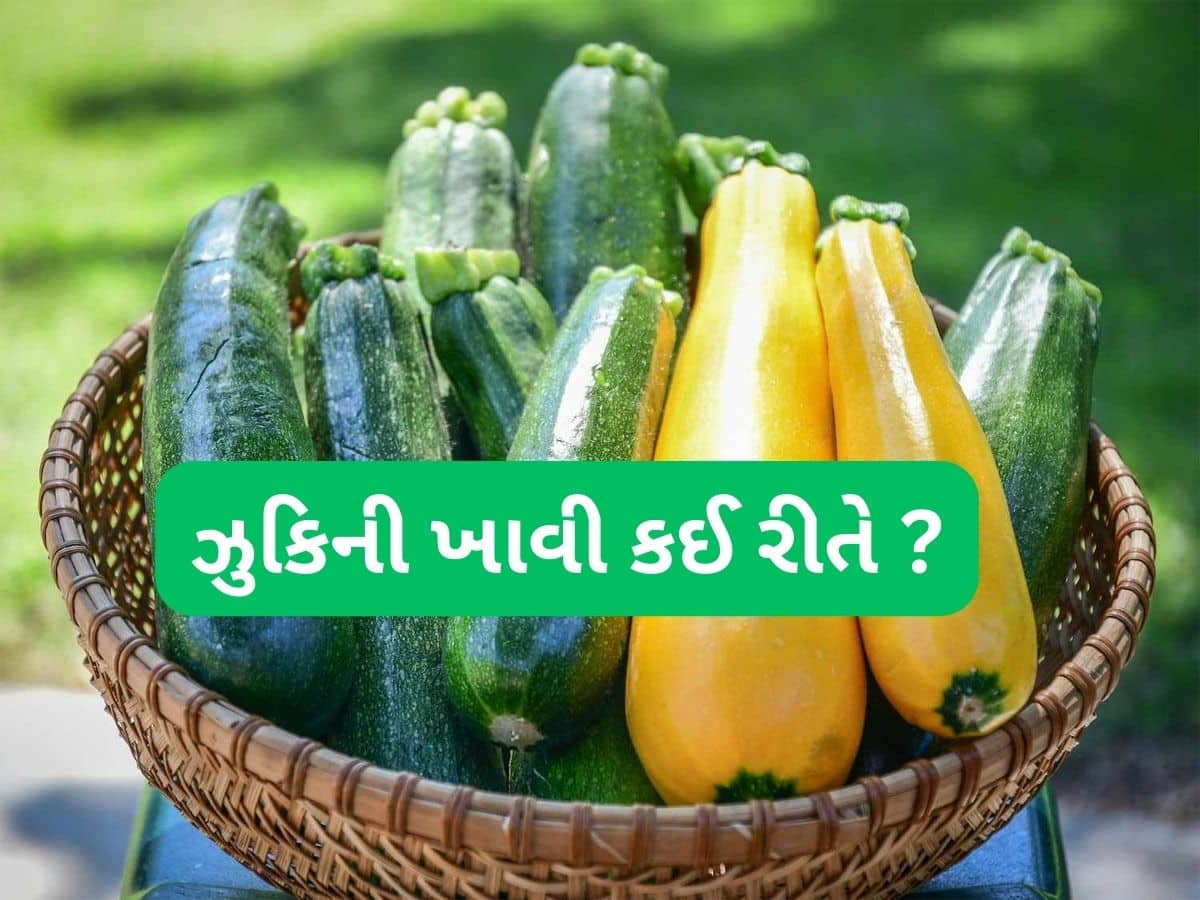 Zucchini: ઝુકિની કાકડી જેવી દેખાય પણ કાકડીની જેમ ન ખવાય, આ 4 રીતે ખાઈ શકો છો ઝુકિની