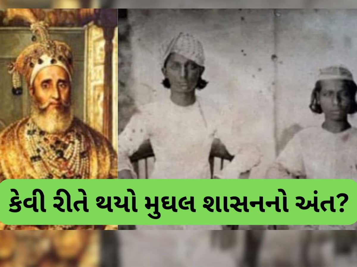 એક સમયે આખા ભારત પર રાજ કરતા હતા મુઘલો, અંતિમ શાસક અને વંશજો વિશે જાણો, ગરીબાઈમાં વિત્યું જીવન