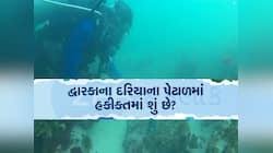 દ્વારકાના દરિયામાં ઉતરી ગોતાખોરોની ટીમ, હાથ લાગ્યા ડુબેલી નગરીના મોટા પુરાવા