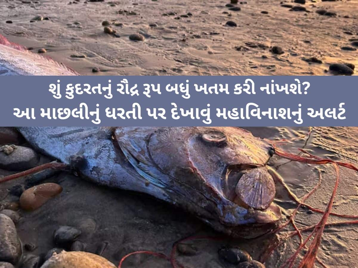 ધરતી પર મહાવિનાશનો ખતરો? સમુદ્ર કિનારે મહાપ્રલયના સંકેત, શું દુનિયામાં મોટો ભૂકંપ કે સુનામી આવવાની છે?