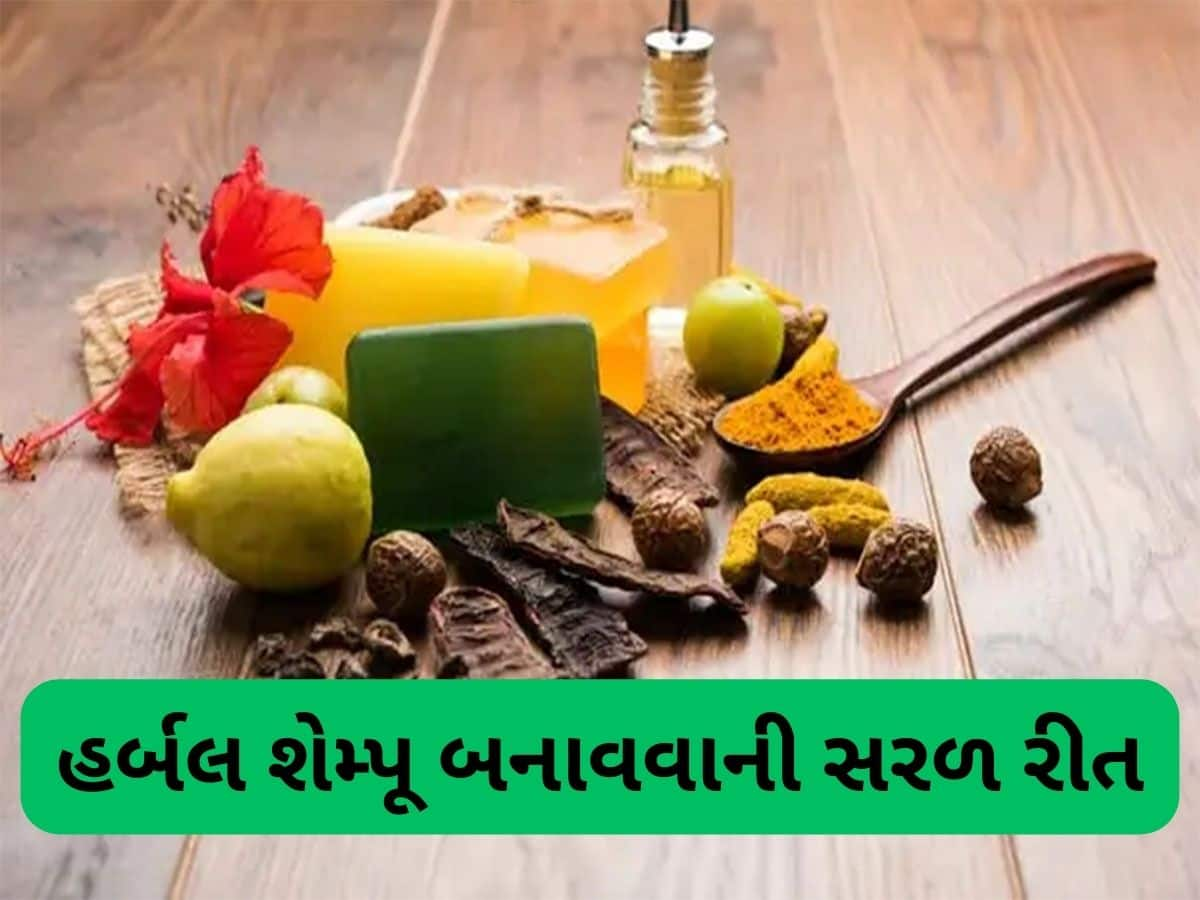 Herbal Shampoo: આ હર્બલ શેમ્પૂથી વાળ ધોવાનું રાખો, વાળ ખરતાં બંધ થશે અને કાળા રહેશે, ઘરે શેમ્પૂ બનાવવું એકદમ ઈઝી