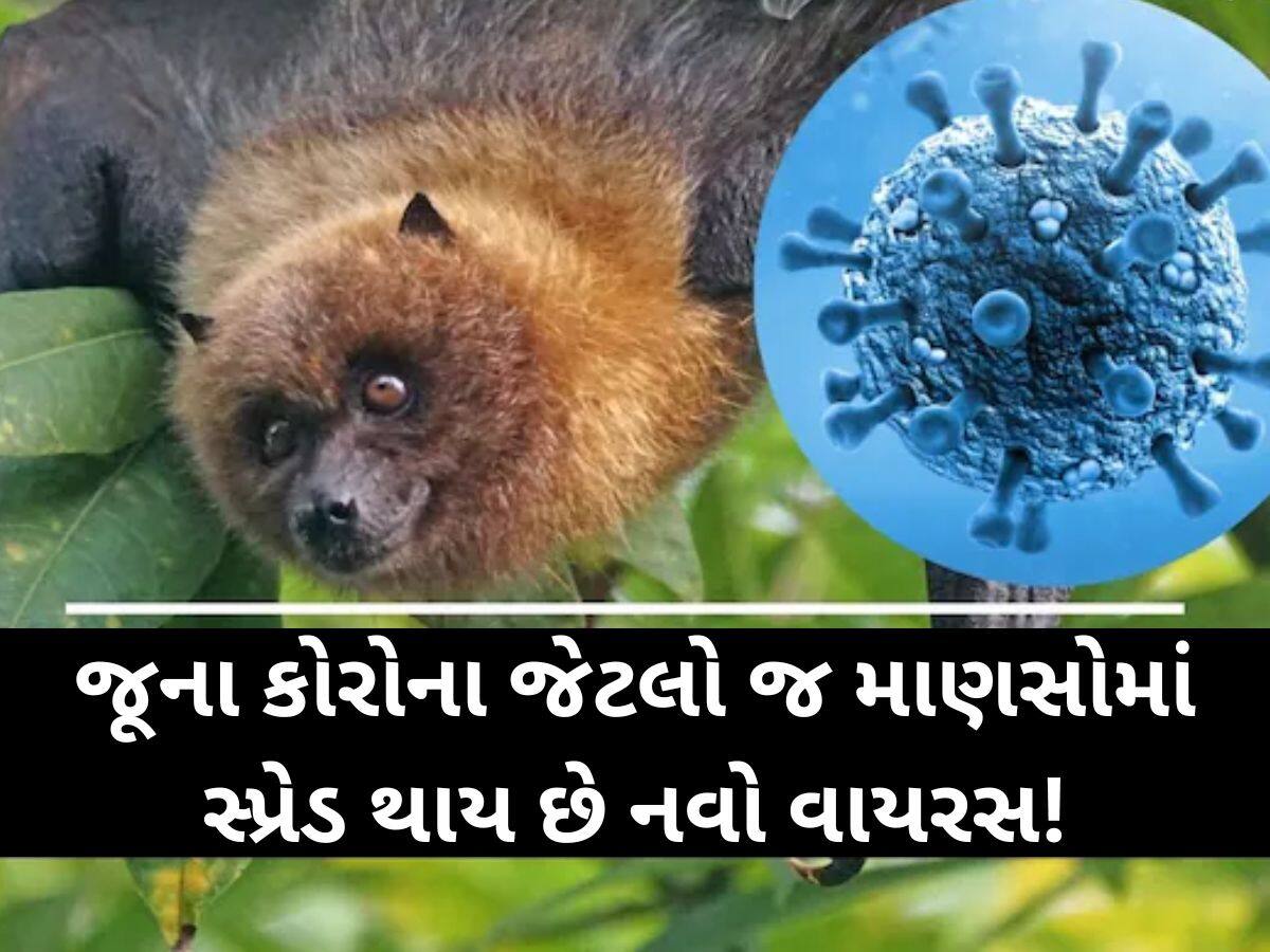 Covid 19: કોરોનાના વધુ એક વેરિએન્ટથી વિશ્વમાં ફરી ફફડાટ; ચીનમાં મળી આવ્યો કોરોનાનો નવો વેરિએન્ટ