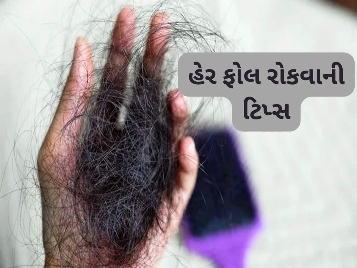 Hair Fall Tips: પ્રેગ્નન્સી પછી ખરતા વાળથી પરેશાન છો ? આજથી વાપરવા લાગો આ આયુર્વેદિક વસ્તુ,અટકી જશે હેર ફોલ