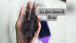 પ્રેગ્નન્સી પછી ખરતા વાળથી પરેશાન છો ? આજથી વાપરવા લાગો આ વસ્તુઓ,અટકી જશે ખરતા વાળ