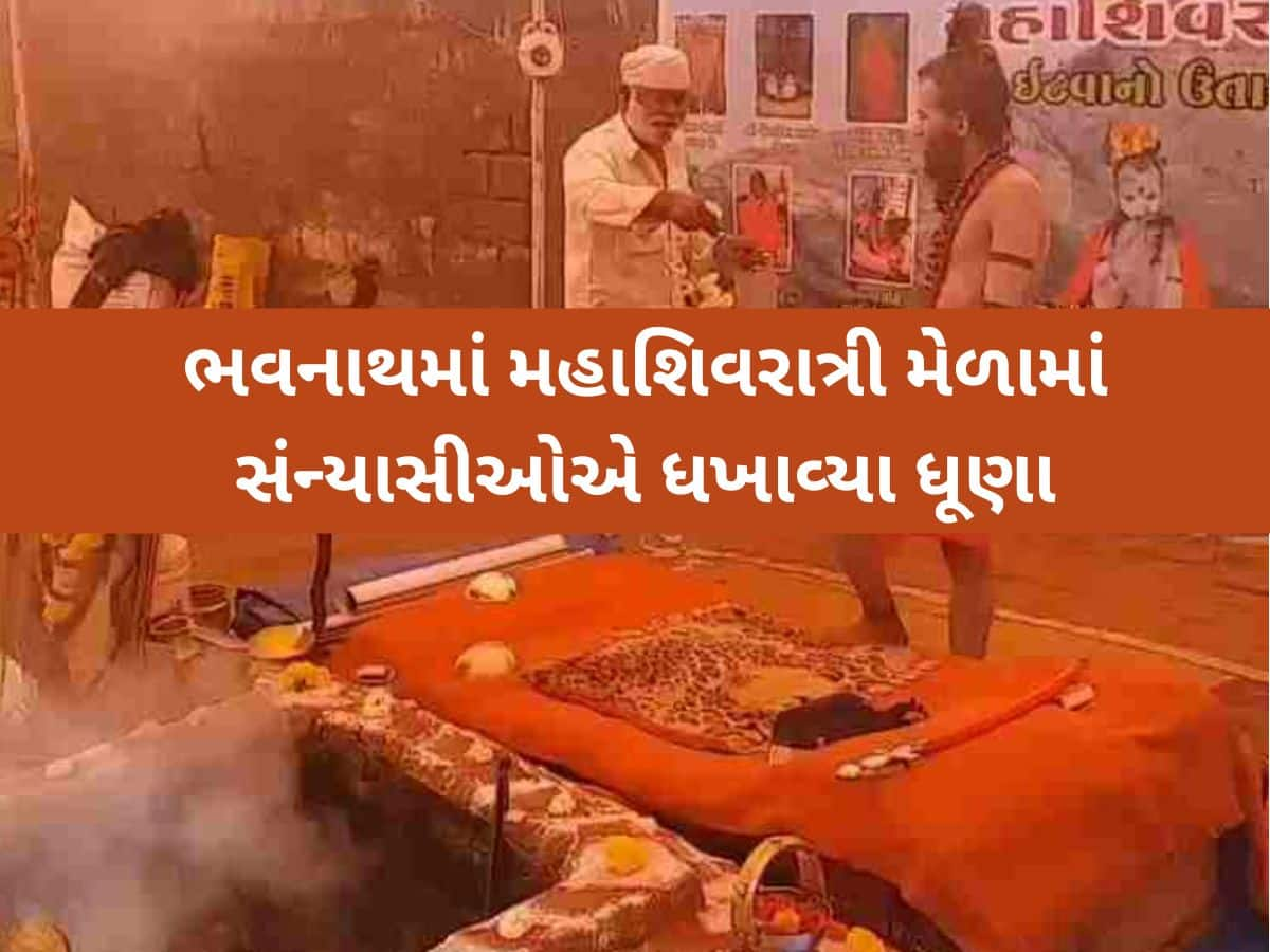 'ચપટી ભભૂત હે, કુબેર કા ખજાના...', જાણો મહાશિવરાત્રી મેળામાં ધુણાઓ, ભભૂતનું શું છે વિશેષ મહત્વ