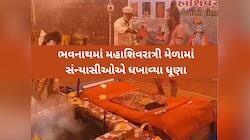'ચપટી ભભૂત હે, કુબેર કા ખજાના..', મહાશિવરાત્રી મેળામાં ધુણાઓ, ભભૂતનું છે વિશેષ મહત્વ