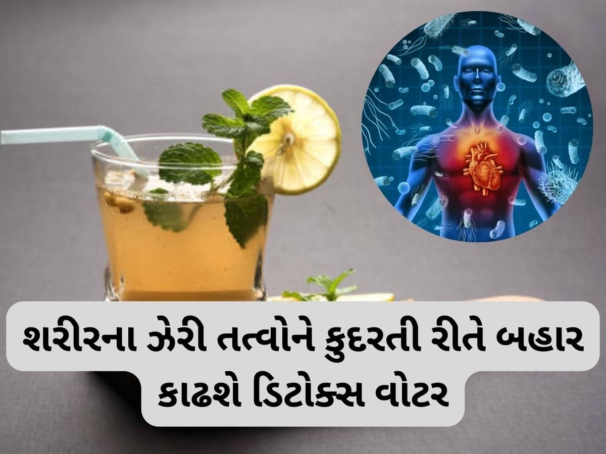 Detox Water:  શરીરને અંદરથી સાફ કરી નાખશે આ 5 ડ્રિંક્સ, યુરિન મારફતે નીકળી જશે ઈન્ફેક્શન કરતાં બેક્ટેરિયા