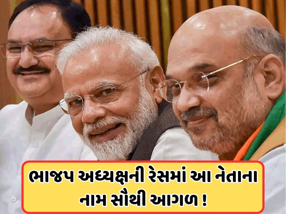 BJP President: ભાજપ અધ્યક્ષ પદની રેસમાં દક્ષિણના ત્રણ દિગ્ગજ નેતાઓ, જાણો કોને લાગશે ચાન્સ