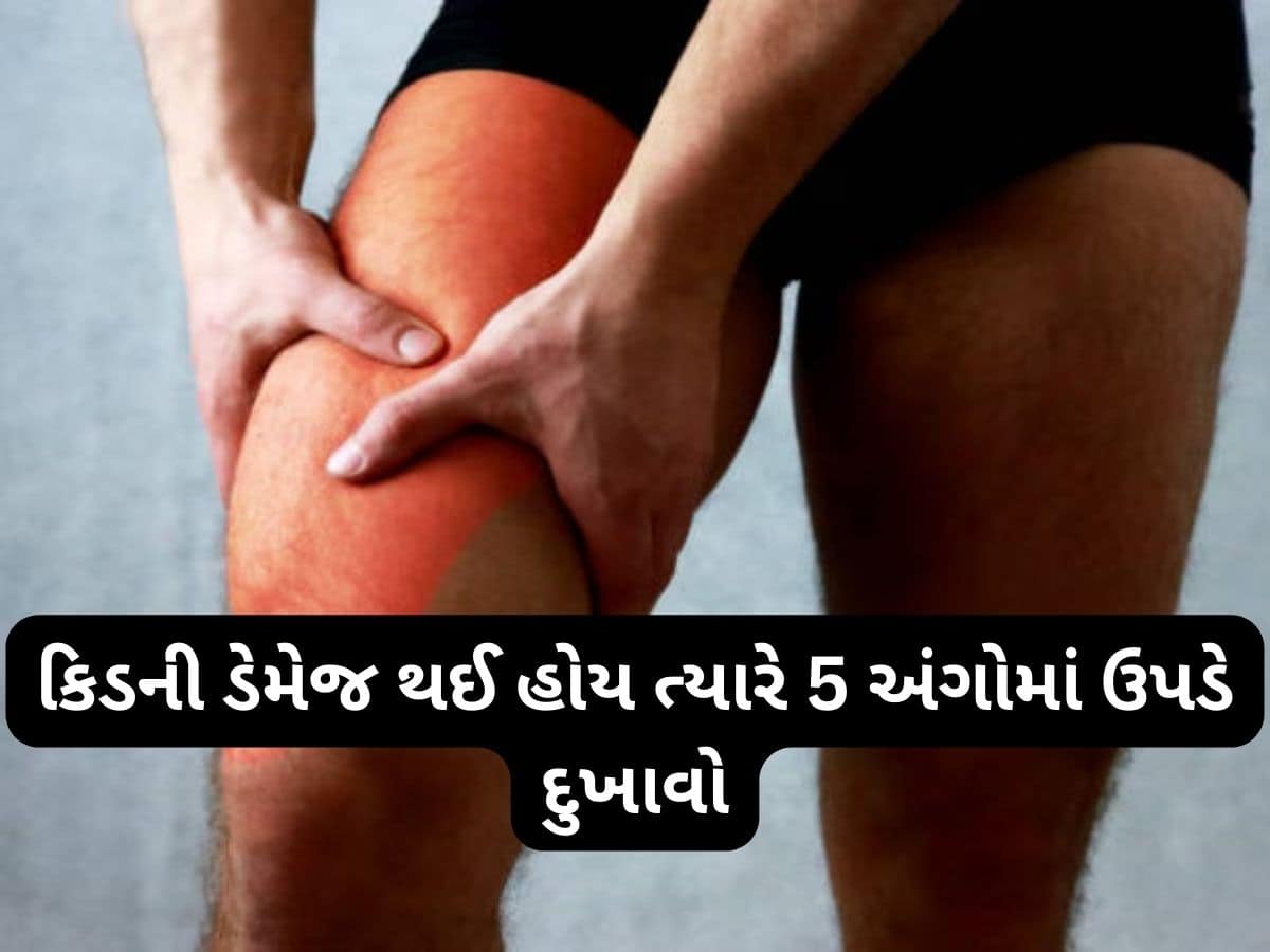 Kidney Damage: શરીરના આ અંગોમાં થતો દુખાવો કિડની ડેમેજનું હોય શકે લક્ષણ, સમયસર ધ્યાન આપવું જરૂરી