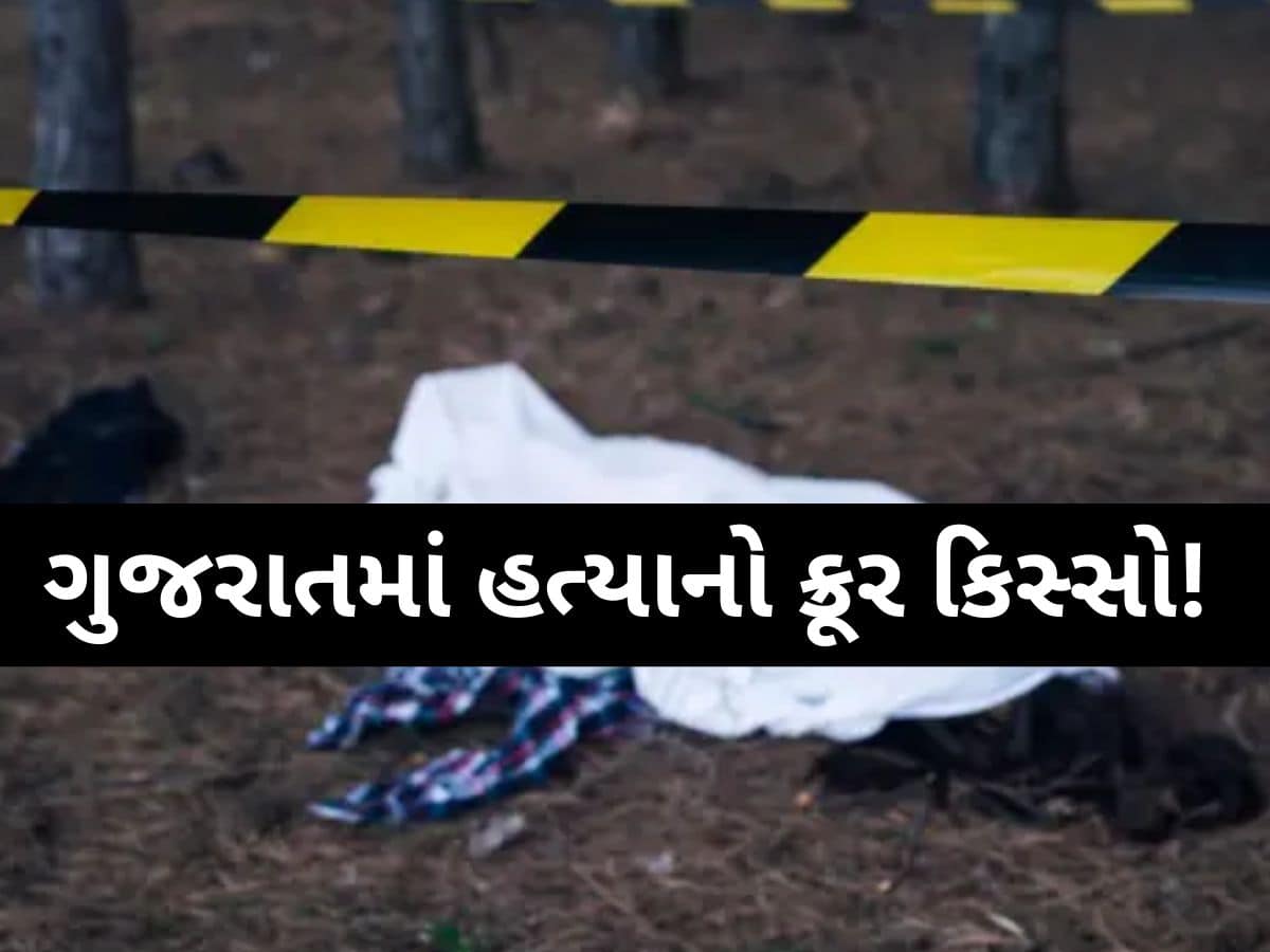 પાણીપુરી બની મિત્રો વચ્ચે ઝઘડાનું મૂળ! પથ્થરના ઉપરાછાપરી ઘા મારી યુવકનું માથું છૂંદી નાંખ્યું, પછી....