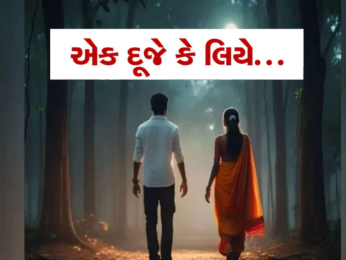 ગુજરાતી કપલે માઉન્ટ આબુના જંગલોમાં જઈને કર્યો આપઘાત, પછી જીવ બચાવવા હોટલમાં ફોન કરીને મદદ માંગી