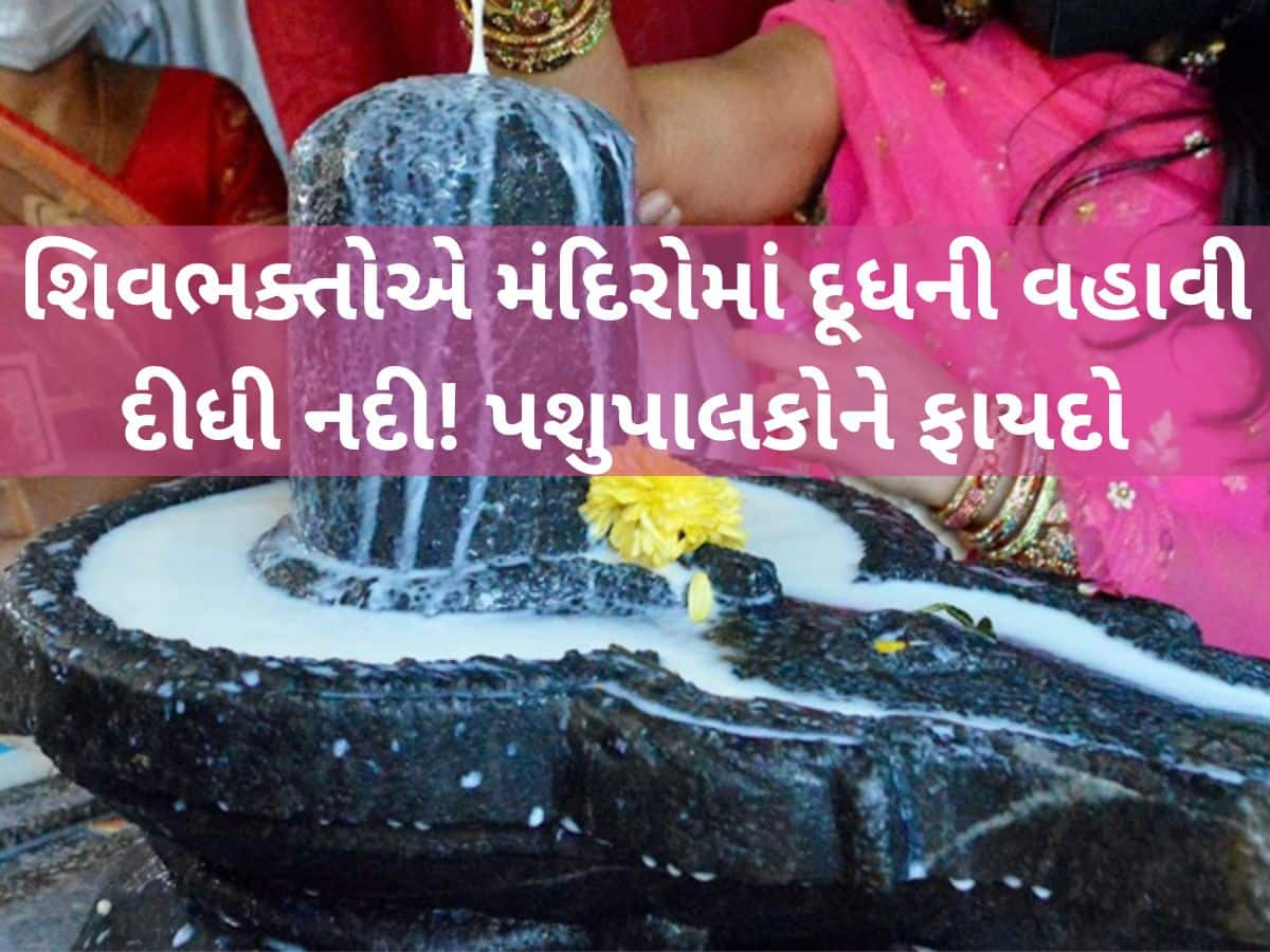 મહાશિવરાત્રિ પર 16 લાખ લિટર દૂધનું વેચાણ; 75 વર્ષના સુમુલ ડેરીના ઈતિહાસમાં સૌથી મોટો રેકોર્ડ