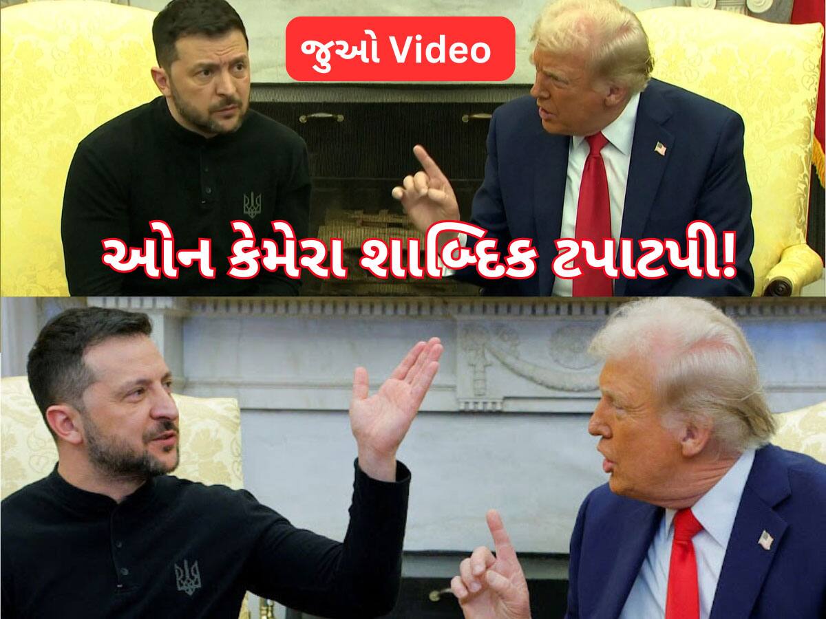 Watch Video: ફ્લાવર નહીં ફાયર હૈ મે, ઝૂકેગા નહીં...પુષ્પા સ્ટાઈલમાં જેલેન્સ્કીએ ટ્રમ્પને દેખાડ્યા તેવર, હવે આગળ શું?