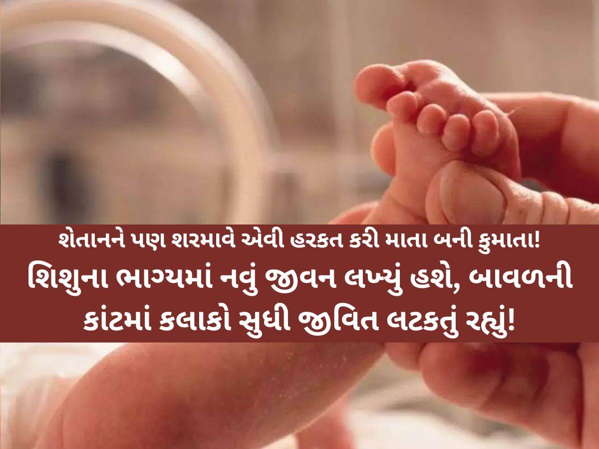 તાજા જન્મેલા નવજાત શિશુને માતાએ હેવાન બનીને બાવળની કાંટમાં છુટ્ટું ફેંકી દીધું! આ ઘટના વાંચી હ્રદય દ્રવી ઉઠશે!